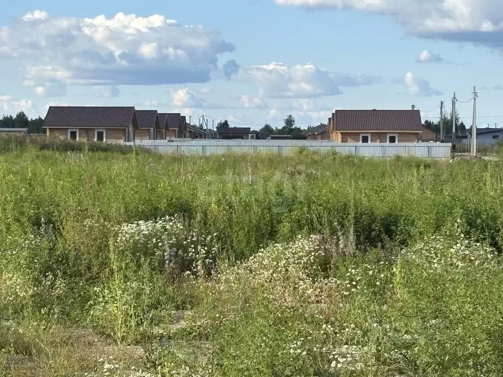 Участок в Тюменская область, Тюмень Садовое товарищество Липовый ... - Фото 1