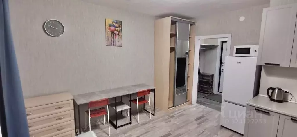 Студия Ленинградская область, Мурино Всеволожский район, просп. ... - Фото 1