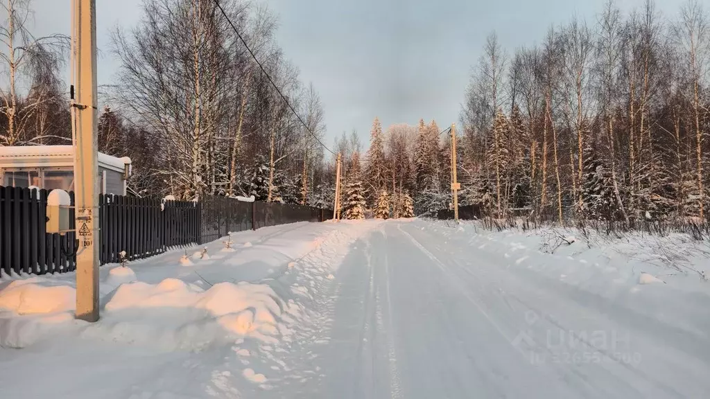 Участок в Московская область, Шаховская муниципальный округ, с. ... - Фото 1
