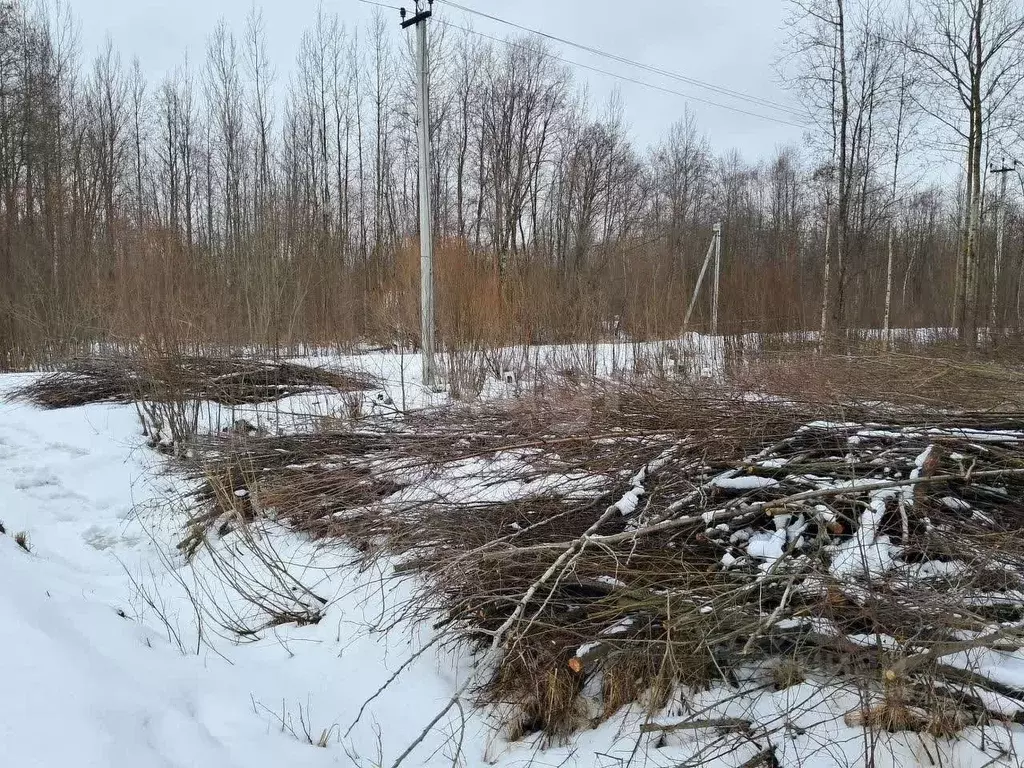 Участок в Вологодская область, Вологда ул. Власьевская (8.6 сот.) - Фото 2