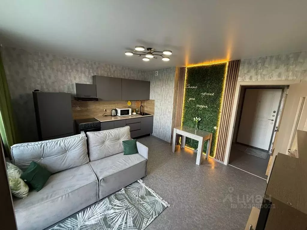 Студия Челябинская область, Челябинск Набережная ул., 7Б (23.0 м) - Фото 2