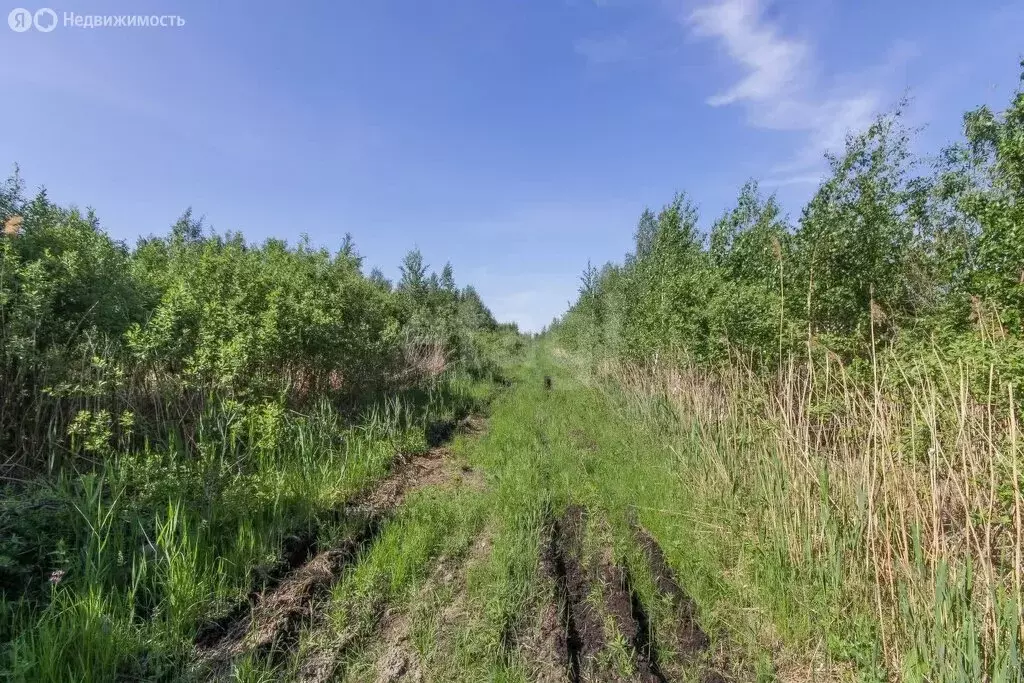 Участок в Тюмень, СНТ Большое Царёво-1 (9.87 м) - Фото 1