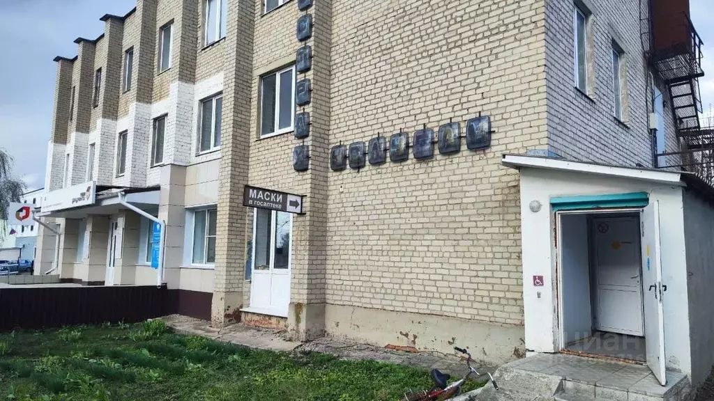 Помещение свободного назначения в Воронежская область, Панино рп ул. ... - Фото 1