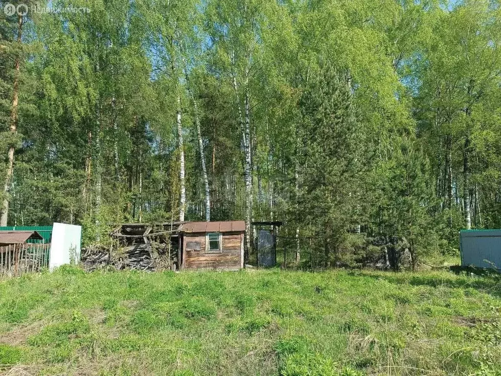 Участок в Нижний Новгород, СНТ Лесная Поляна (9.05 м) - Фото 1