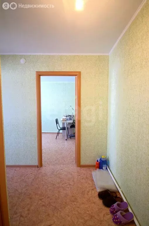 1-комнатная квартира: село Хохлово, Центральная улица, 11Б (29.5 м) - Фото 2