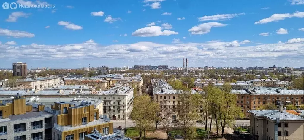 2-комнатная квартира: Санкт-Петербург, Пискарёвский проспект, 1 (52.4 ... - Фото 1