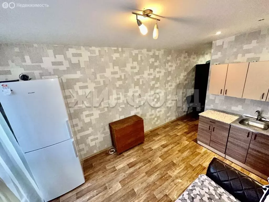 Квартира-студия: Новосибирск, улица Виктора Уса, 15 (19.2 м) - Фото 1