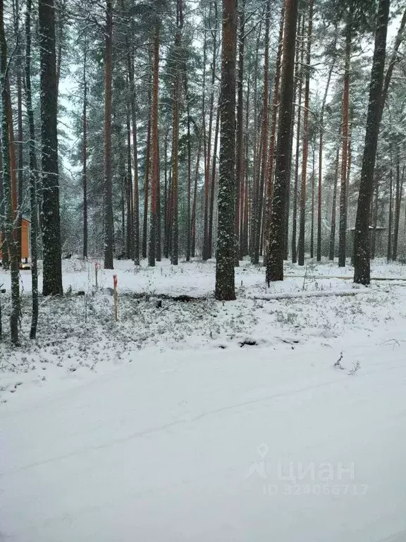 Участок в Карелия, Олонецкий район, Коверское с/пос, д. Нурмолицы  ... - Фото 1