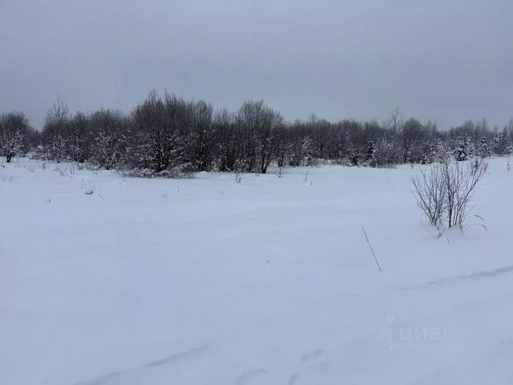 Участок в Московская область, Пушкинский городской округ, д. ... - Фото 2