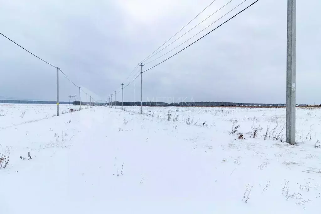 Участок в Тюменская область, Тюменский район, д. Елань  (7.21 сот.) - Фото 1
