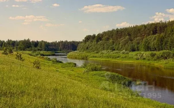 Участок в Тверская область, Рамешковский муниципальный округ, д. ... - Фото 1