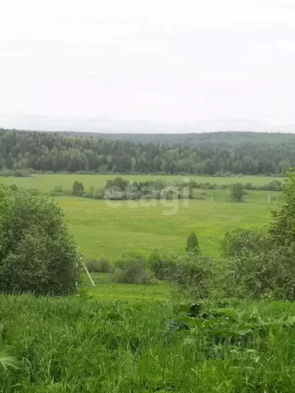 Участок в Кемеровская область, Кемеровский муниципальный округ, д. ... - Фото 1