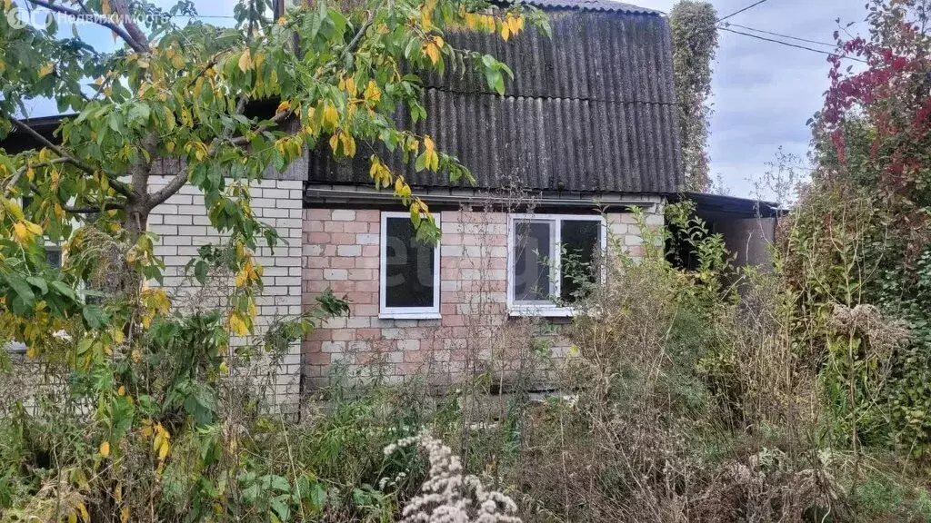 Дом в село Толмачево, СДТ Дачное (40 м) - Фото 1