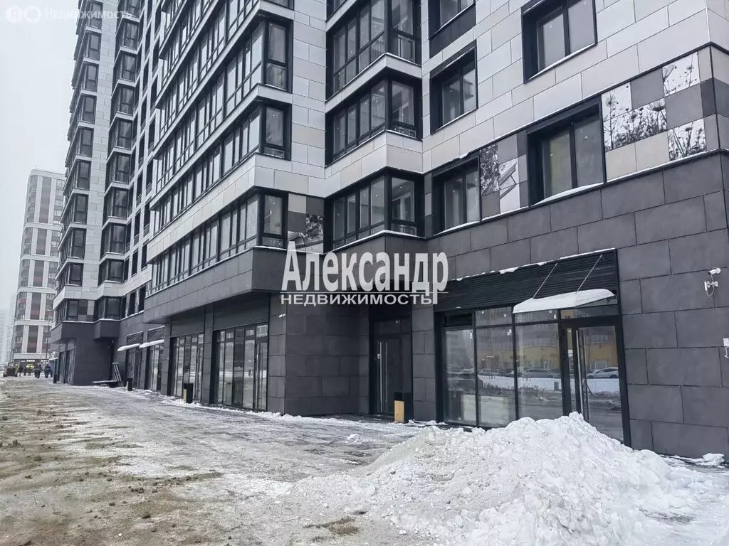 Квартира-студия: Мурино, Ручьёвский проспект, 1/24 (28.1 м) - Фото 1