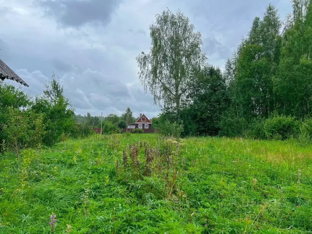 Дом в Ленинградская область, Лужский район, Серебрянское с/пос, ... - Фото 2