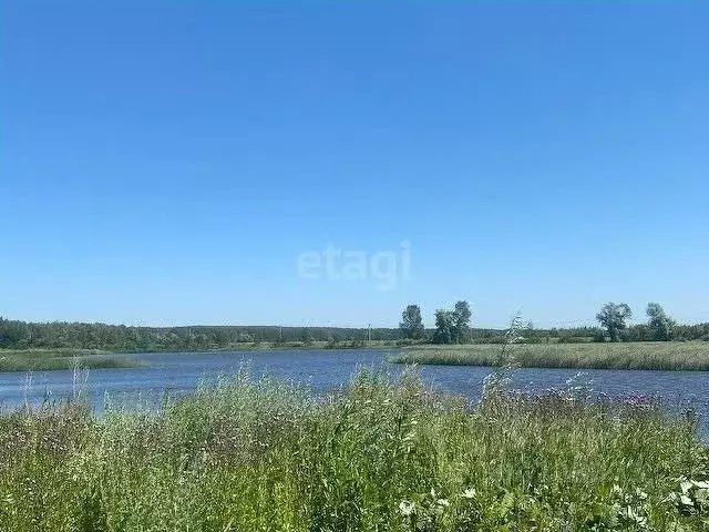 участок в татарстан, лаишевский район, нармонское с/пос, тетеево луч . - Фото 0