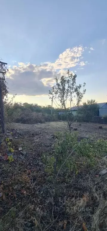 Участок в Ростовская область, Мясниковский район, Большесальское ... - Фото 2