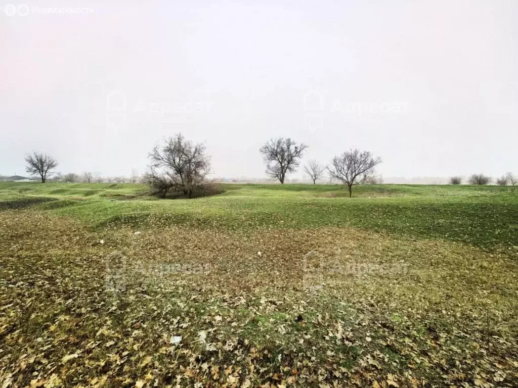 Участок в Бурковский, Степная улица (28.58 м) - Фото 2