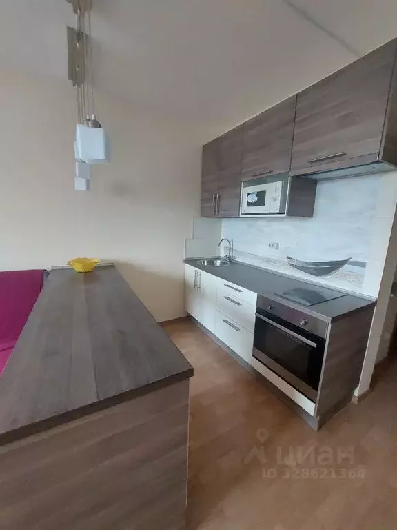 Студия Свердловская область, Белоярский муниципальный округ, с. ... - Фото 2