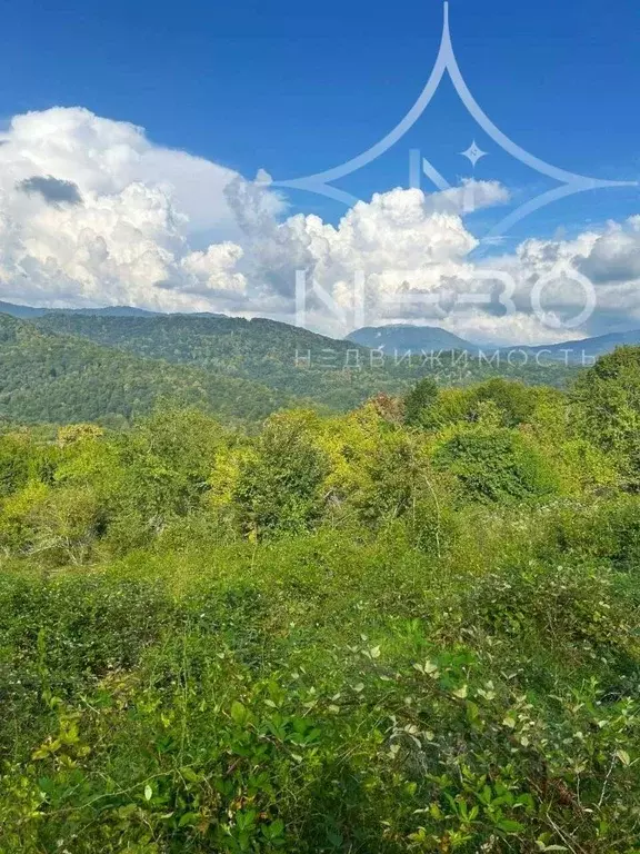Участок в Краснодарский край, Сочи городской округ, с. Красная Воля ... - Фото 1