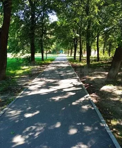 1-к. квартира, 32 м, 4/9 эт. - Фото 1