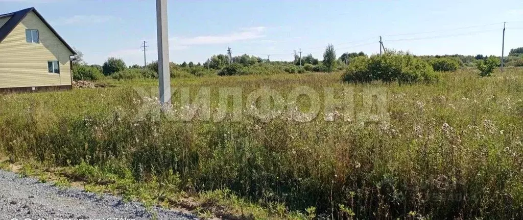 Участок в Новосибирская область, Мошково рп ул. Болдырева (9.17 сот.) - Фото 0