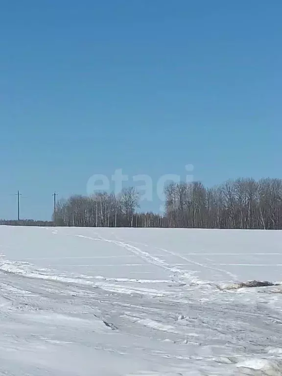 Дом в Брянская область, Выгоничский район, Кокинское с/пос, с. ... - Фото 1