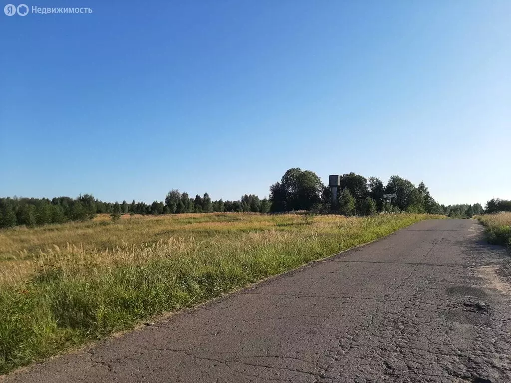 Участок в Смоленский муниципальный округ, деревня Рязаново (Хохловское ... - Фото 0