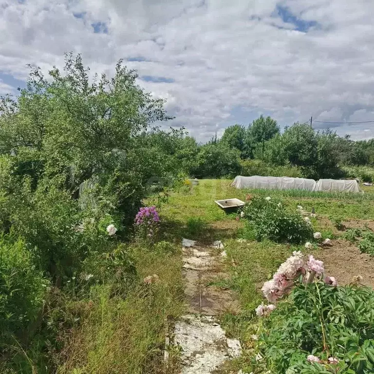 Участок в Костромская область, Кострома  (6.64 сот.) - Фото 1