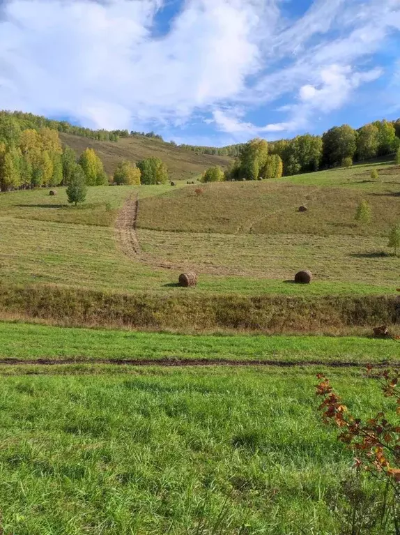 Участок в Алтайский край, Солонешенский район, с. Солонешное  (432.0 ... - Фото 0