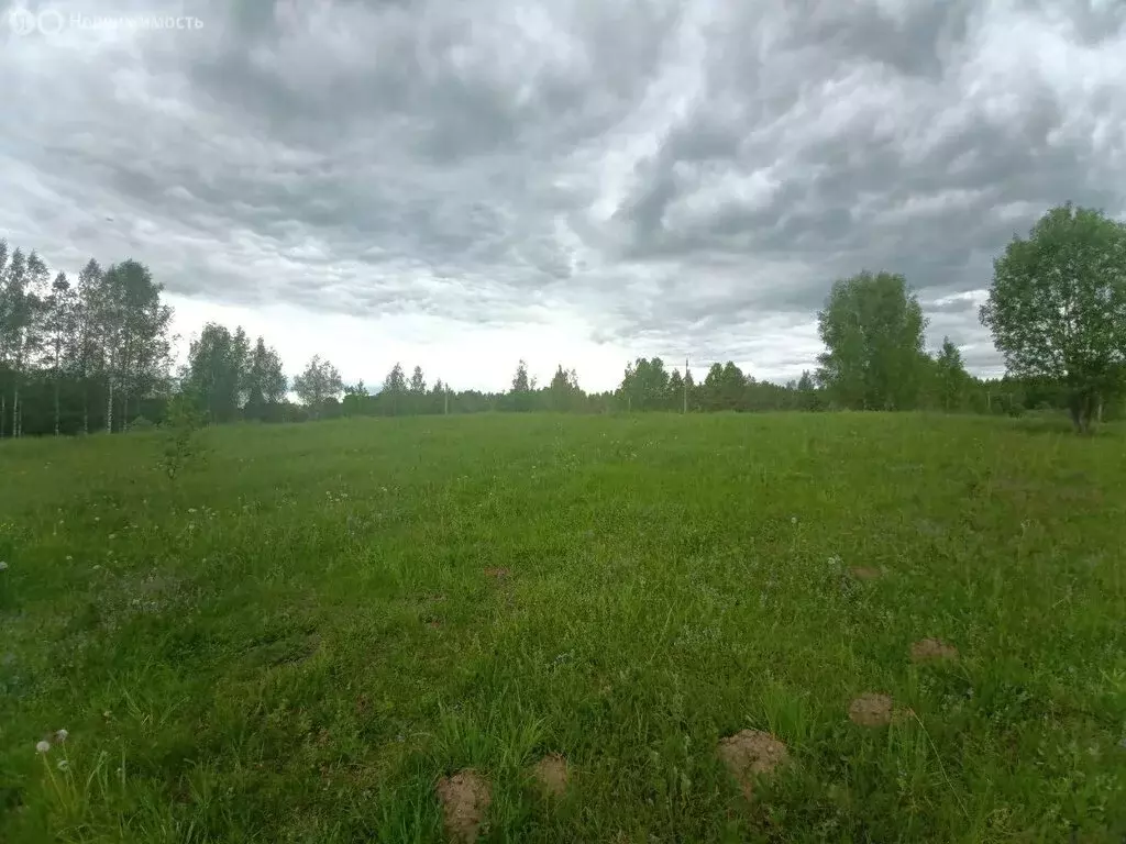 Участок в Волосовский район, Большеврудское сельское поселение (16.5 ... - Фото 1