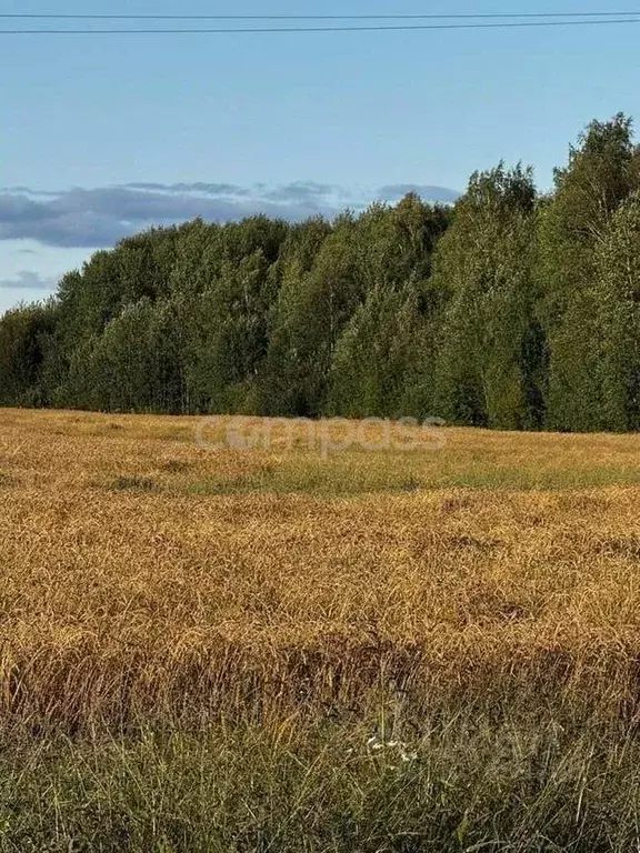 Участок в Тюменская область, Тюменский район, с. Горьковка  (7.0 сот.) - Фото 0