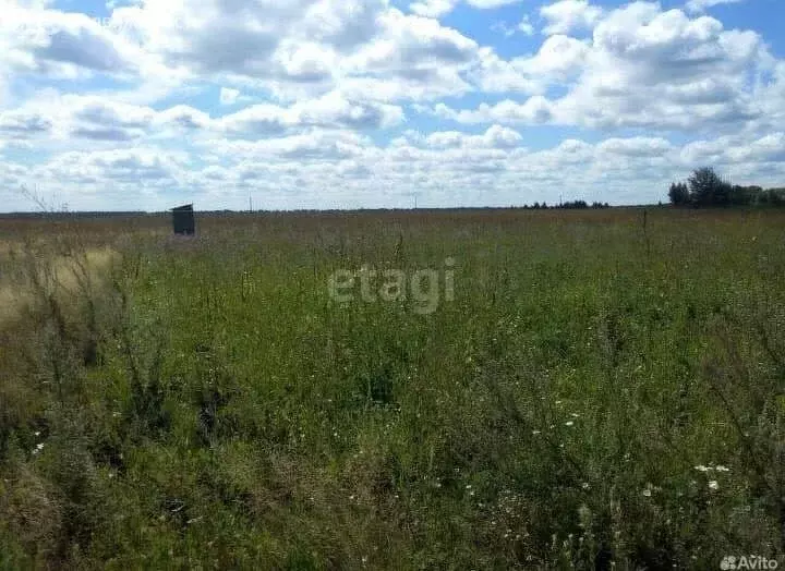 Участок в село Введенское, улица 50 лет Космонавтике (10 м) - Фото 1