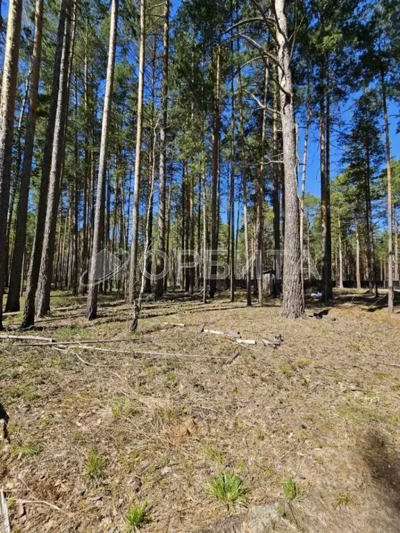 Участок в Тюменская область, Тюменский муниципальный округ, д. ... - Фото 1