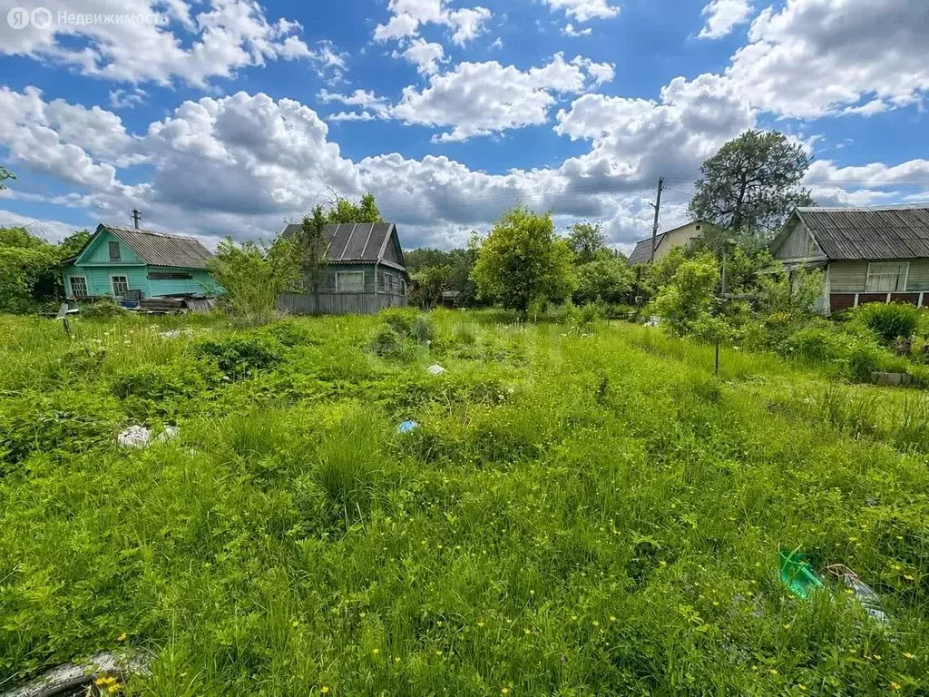 Участок в Дубна, садовое товарищество Весна (4.46 м) - Фото 2