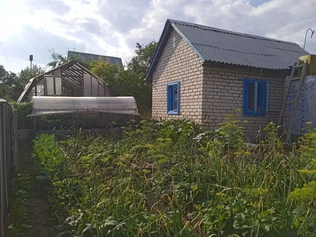 Участок в Каменск-Уральский, СТ № 87 (4 м) - Фото 2