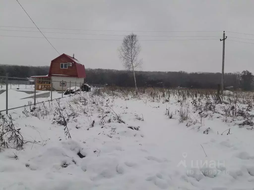 Участок в Нижегородская область, Богородск Центральный пер. (8.8 сот.) - Фото 1