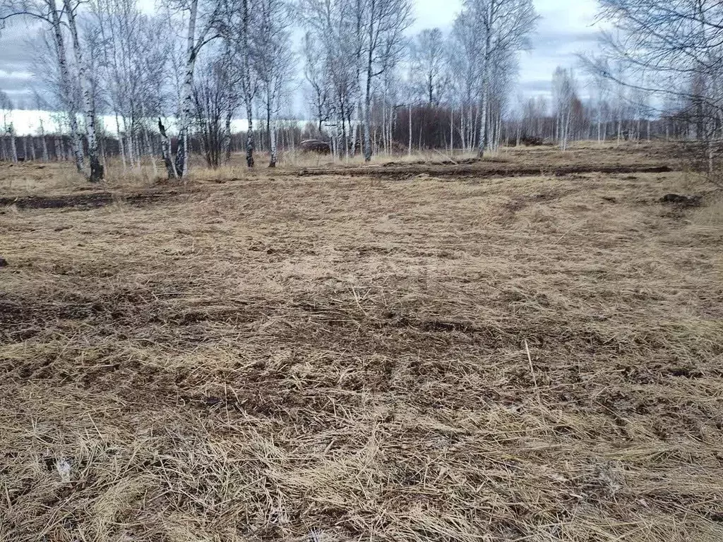 Участок в Тюменская область, Нижнетавдинский муниципальный округ, ... - Фото 0