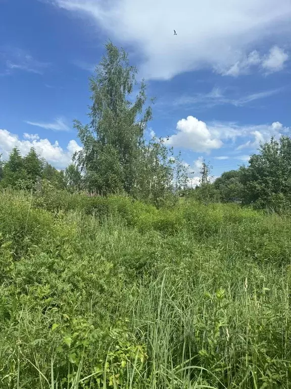 Участок в Тульская область, Тула пос. Восточный, 60А (6.0 сот.) - Фото 0