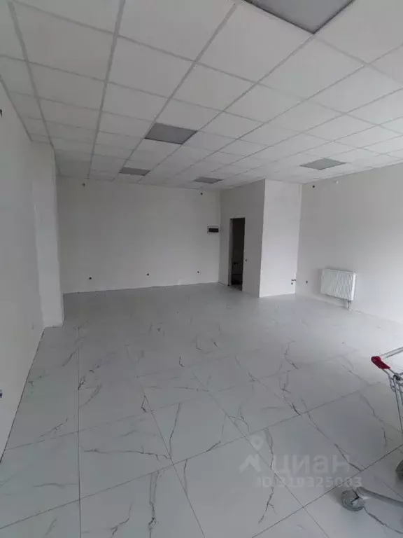 Помещение свободного назначения в Краснодарский край, Краснодар Имени ... - Фото 0