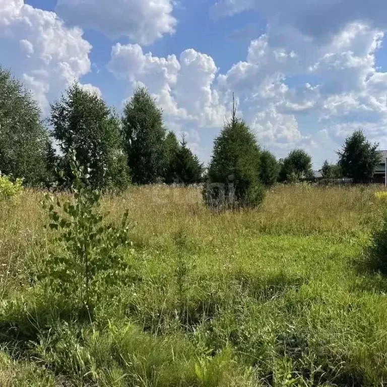 Участок в Кировская область, Слободской муниципальный район, Шиховское ... - Фото 1