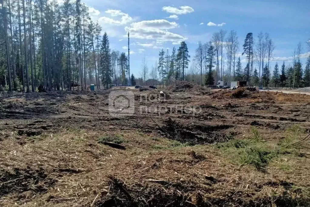 Участок в Ленинградская область, Всеволожский район, Агалатовское ... - Фото 2
