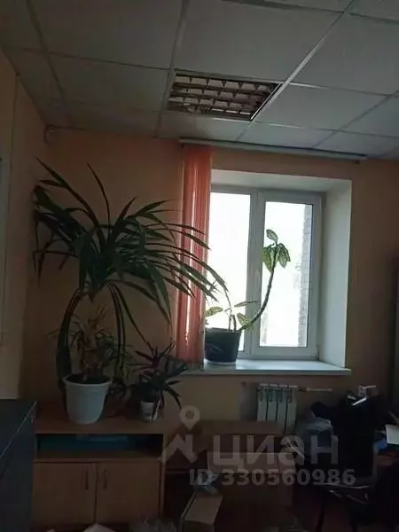 Склад в Нижегородская область, Нижний Новгород ул. Новикова-Прибоя, ... - Фото 2