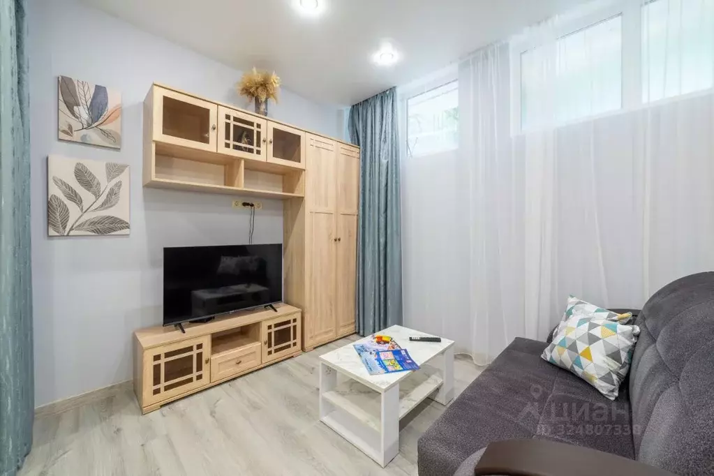 Студия Краснодарский край, Сочи Курортный просп., 95/53 (25.0 м) - Фото 2