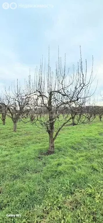 Участок в Бахчисарайский район, посёлок городского типа Почтовое (138 ... - Фото 1