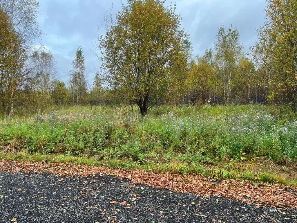 Участок в Московская область, Подольск городской округ, Пузиково кп  ... - Фото 1