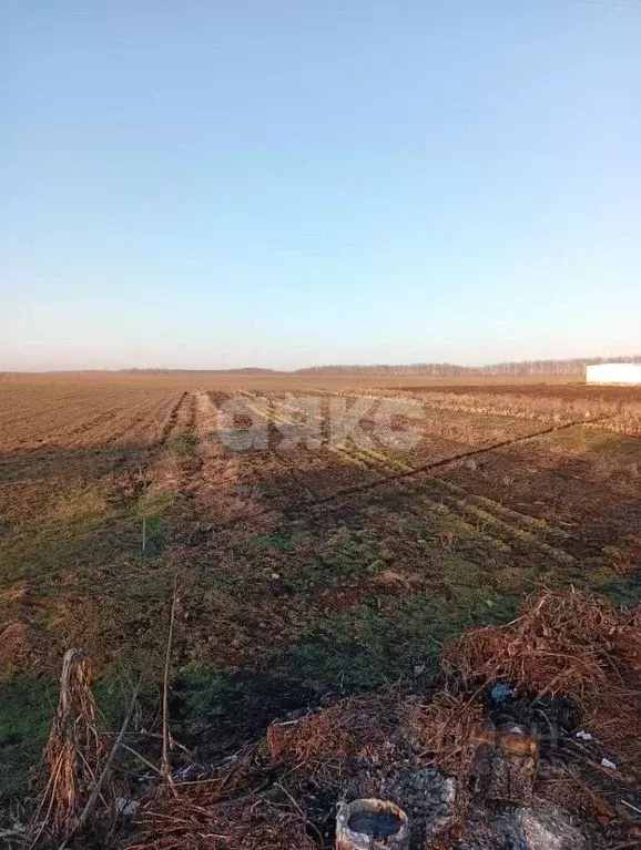 Участок в Краснодарский край, Кореновский район, Раздольная ст-ца ... - Фото 1