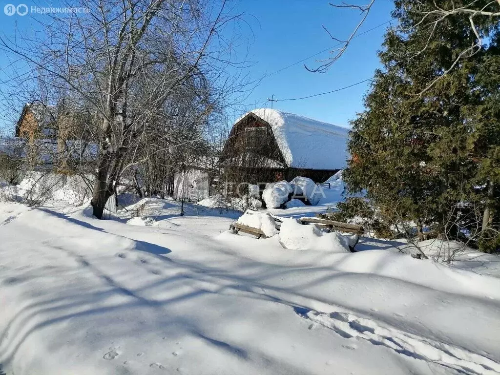 Участок в Новосибирск, СНТ Золотая Горка, аллея Ж, 11 (6.8 м) - Фото 2