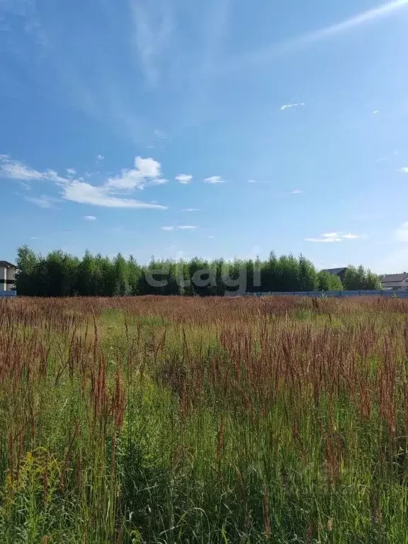 Участок в Нижегородская область, Балахнинский муниципальный округ, ... - Фото 0