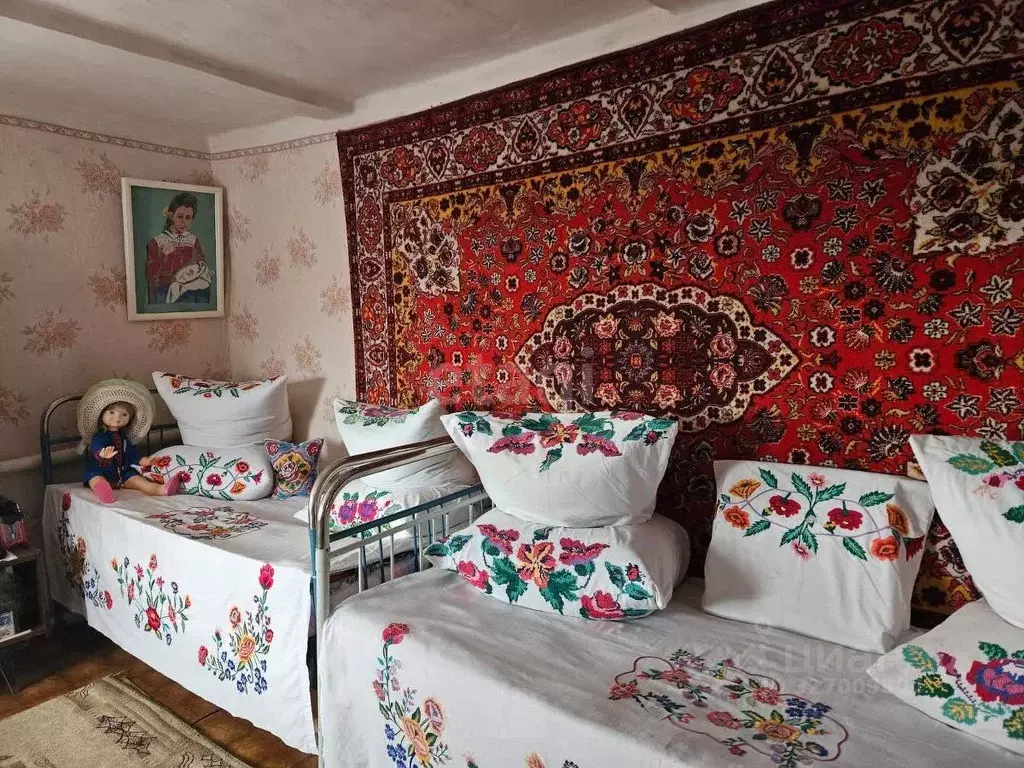 Дом в Воронежская область, с. Репьевка  (51 м) - Фото 1